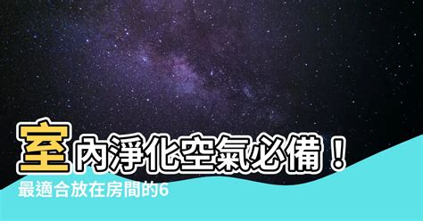 什麼植物可以放房間|房間適合放什麼植物？8款能淨化空氣、過濾毒素的室。